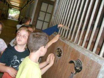 Polizeireiterstaffel in Riem