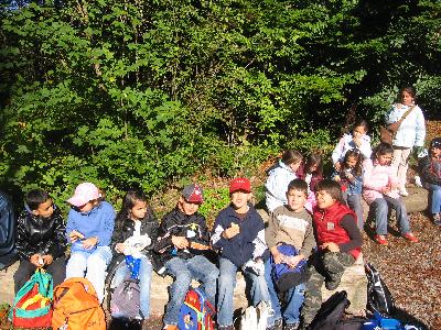 Unterrichtsgang in den Wald