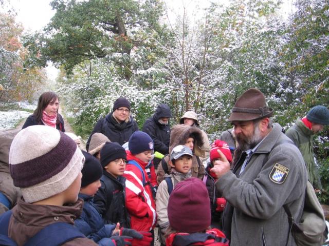 Unterrichtsgang in den (Grün-)Wald