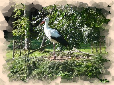 Herbstwandertag in den Wildpark Poing