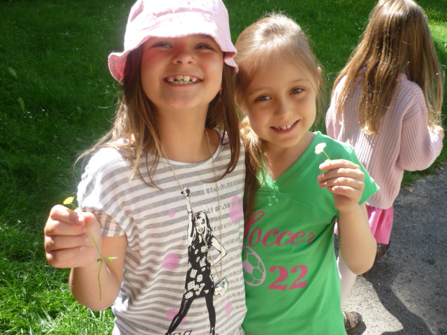 Unterrichtsgang zum Thema Wiese