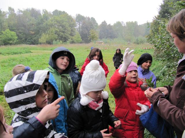 Besuch des Ökologischen Bildungszentrums zum Thema Hecke