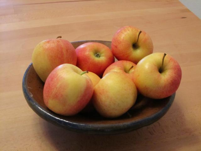 Projekt EU-Schulfruchtprogramm