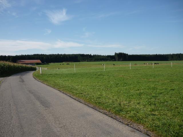 Unterrichtsgang zur Reitanlage Weberhof