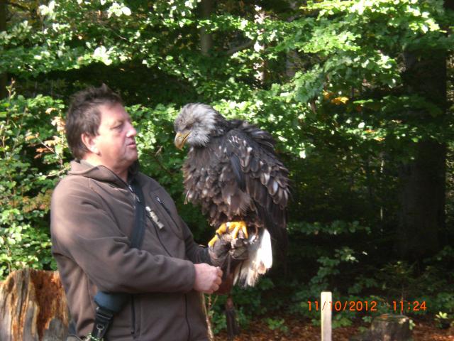 Die dritten Klassen im Waldklassenzimmer Oberschleißheim