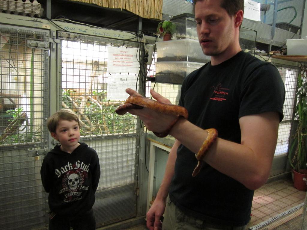 Reptilien zum Anfassen