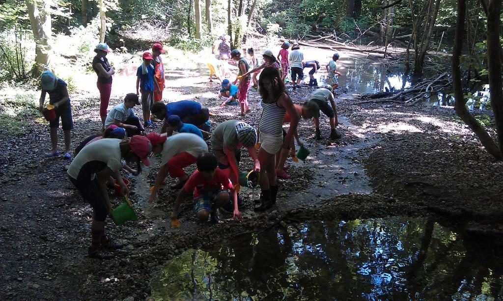 Der Isar auf der Spur