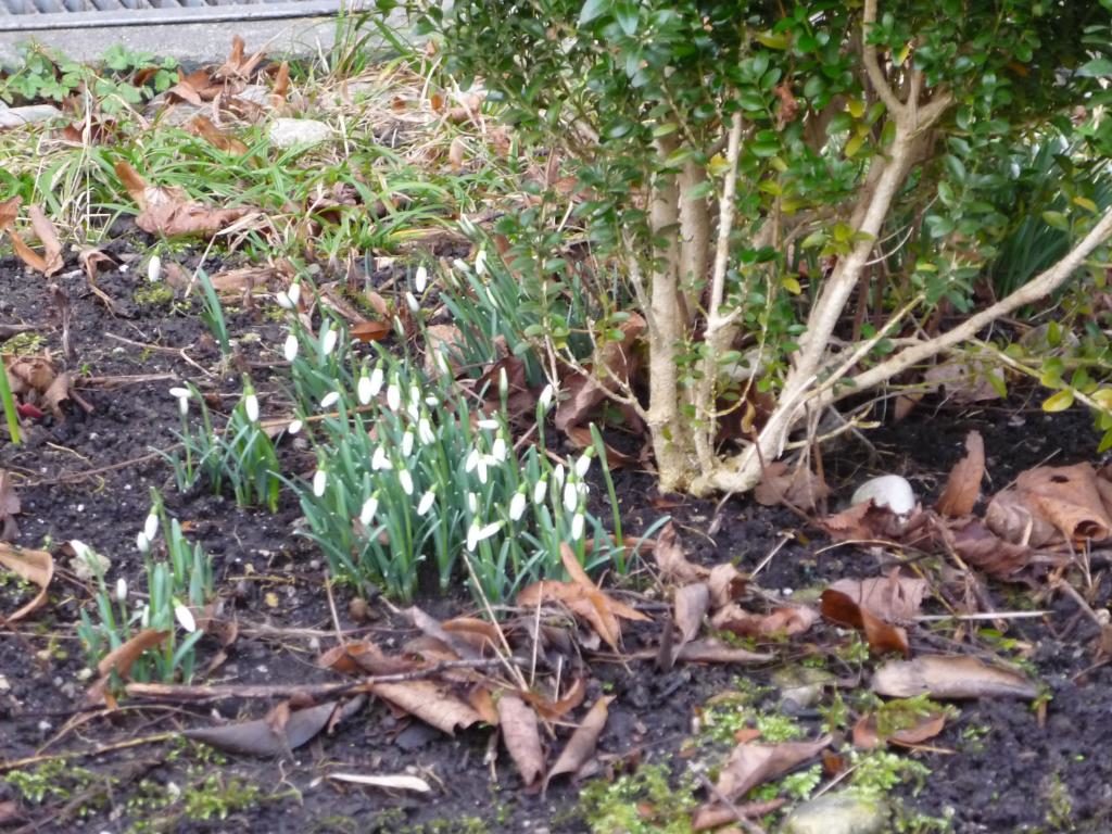 Wir suchen den Frühling