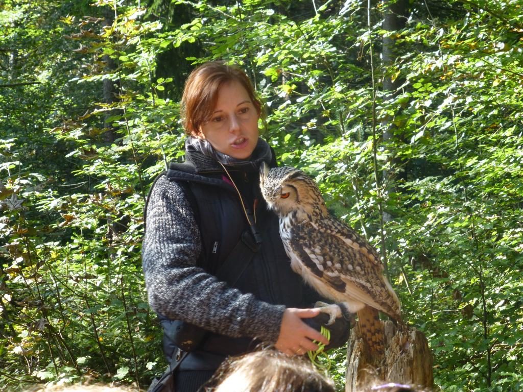 Zu Besuch bei der Falknerin Schreyer-Götz in Oberschleißheim