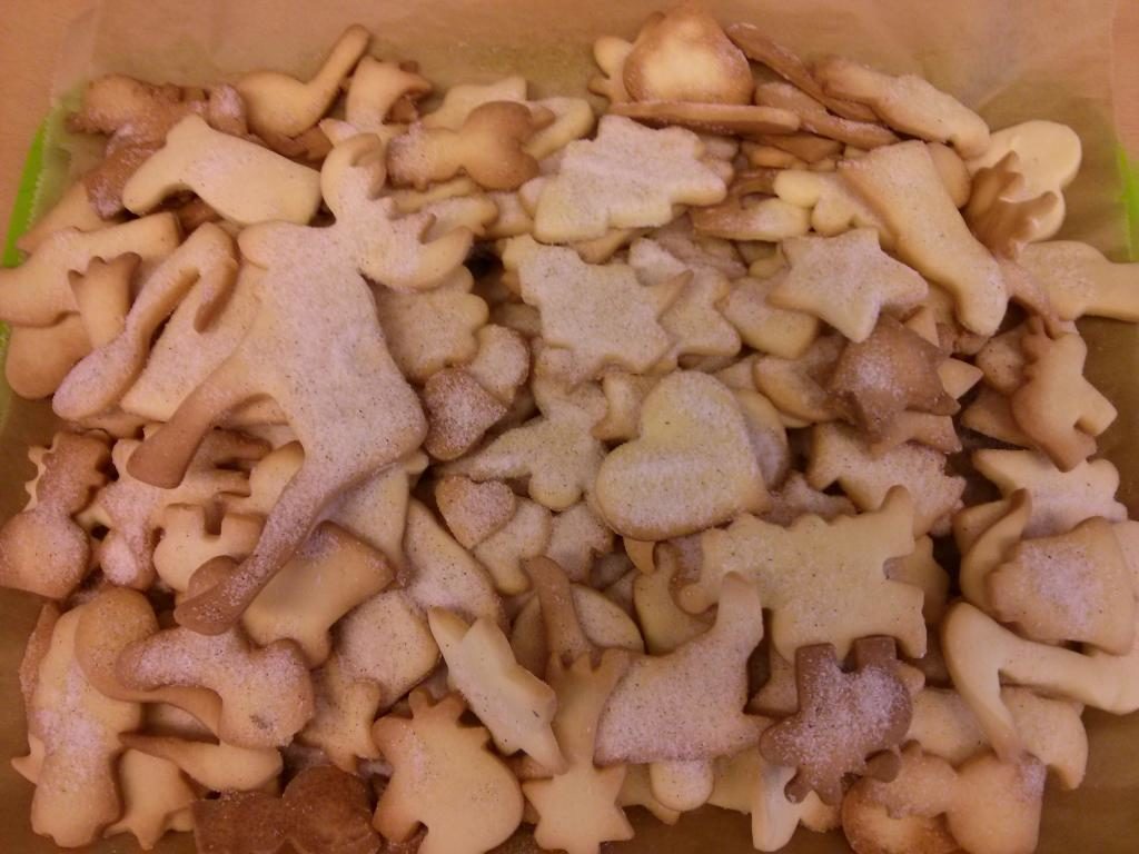 Plätzchen backen in der 1bi