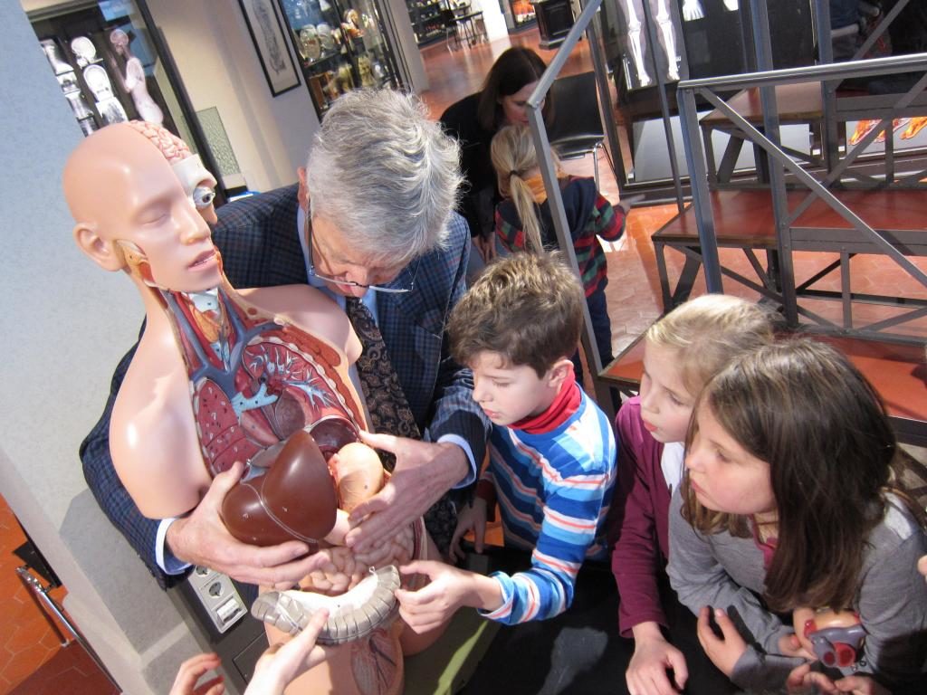 Besuch in der Anatomischen Sammlung der LMU