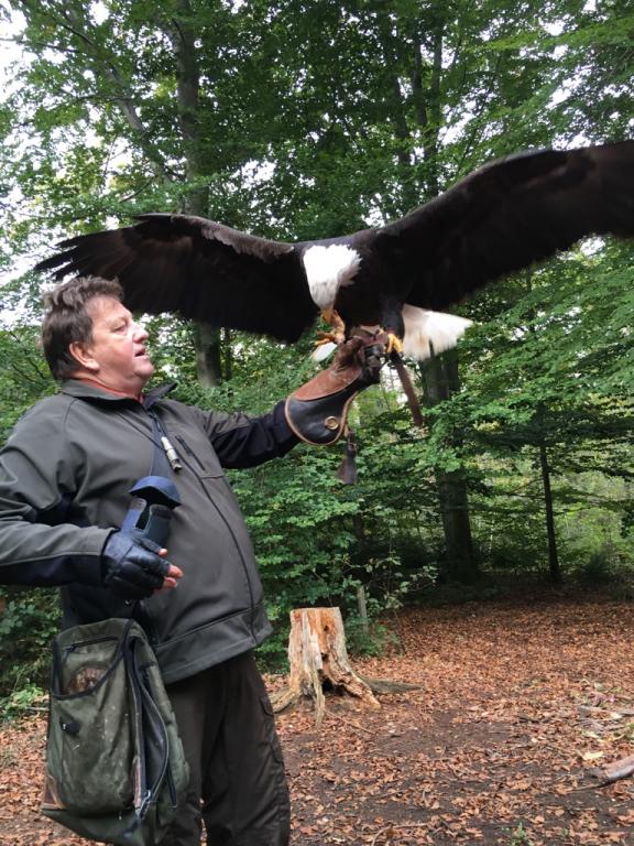 Die Klassen 3bi und 3ci im Waldklassenzimmer