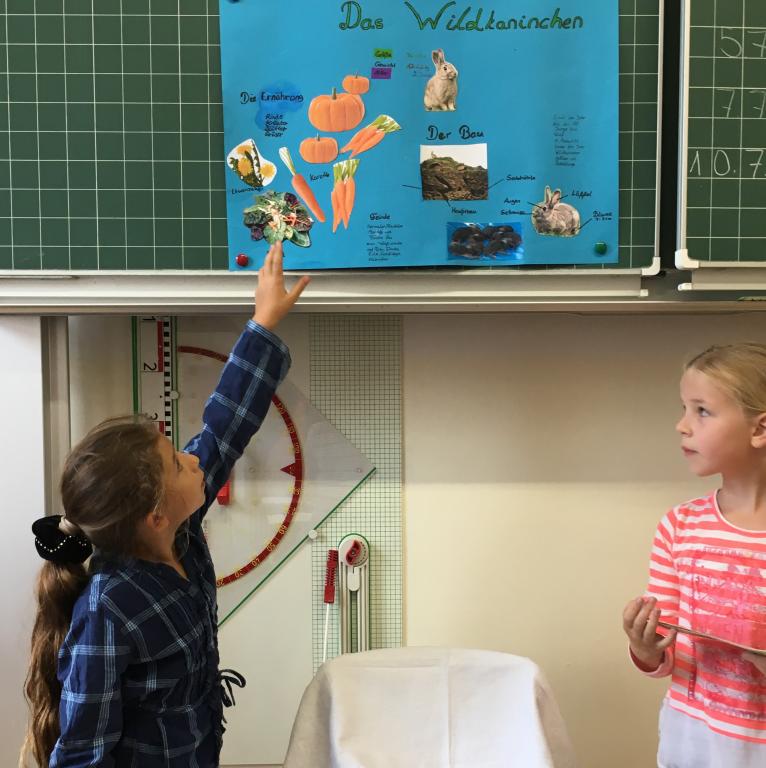 Tiere des Waldes – Klasse 3ci