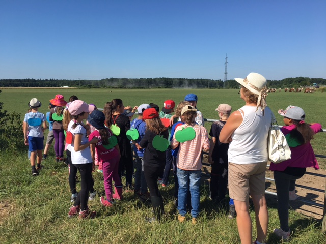 Erlebnispädagogischer Besuch auf dem Bauernhof 3ci