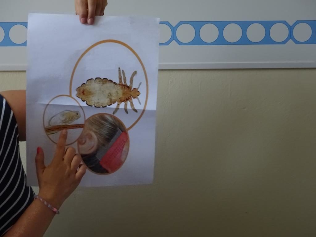 Gib den Läusen keine Chance!