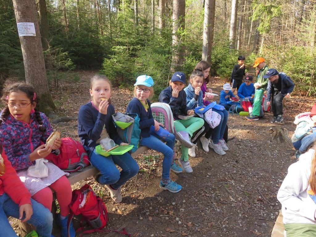 Unterrichtsgang zum Falkner