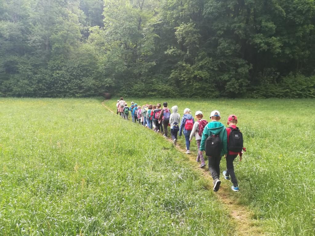 Unterrichtsgang der 2bi zur Grünwalder Burg
