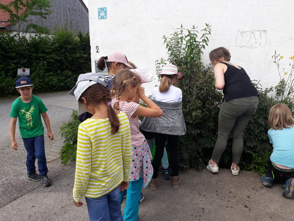 Unterrichtsgang zum Bio-Bauernhof Lenz nach Zorneding
