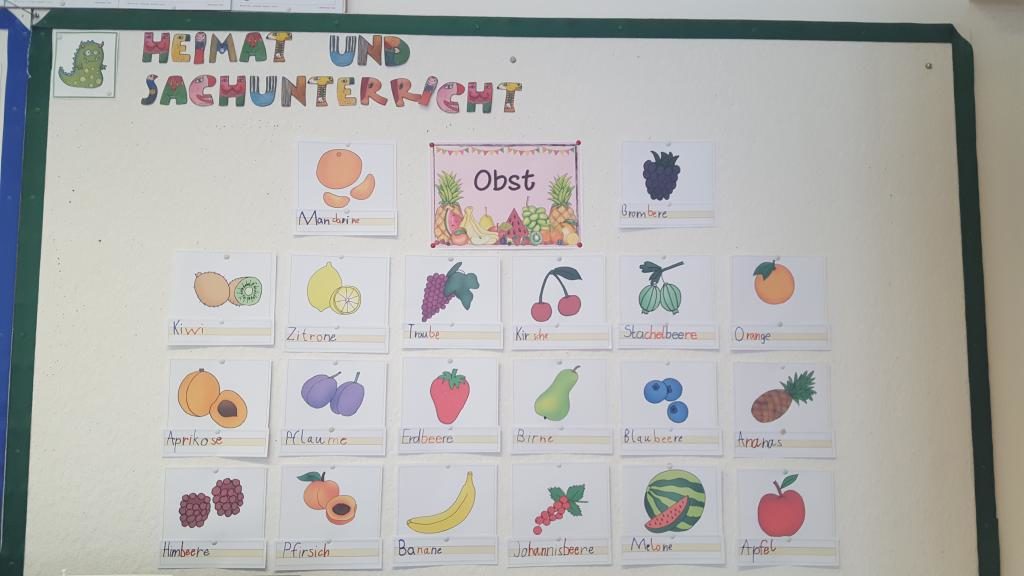 Thema „Obst“  – IPS-Projekt in der 2bi