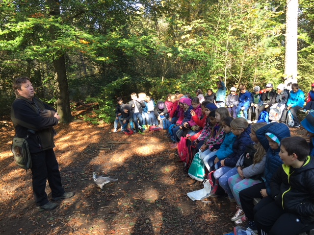 Unterrichtsgang zum Falkner