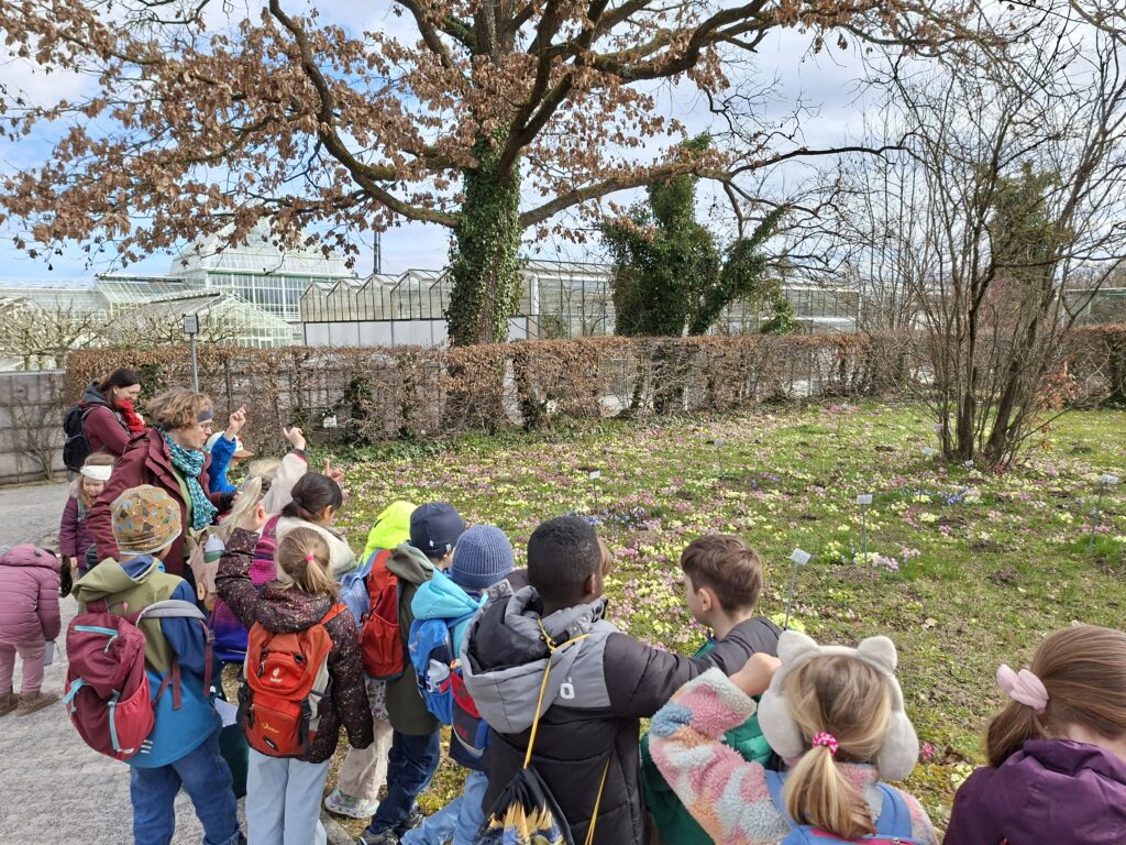 Frühlingserwachen: Die Klassen 1a und 1b im Botanischen Garten