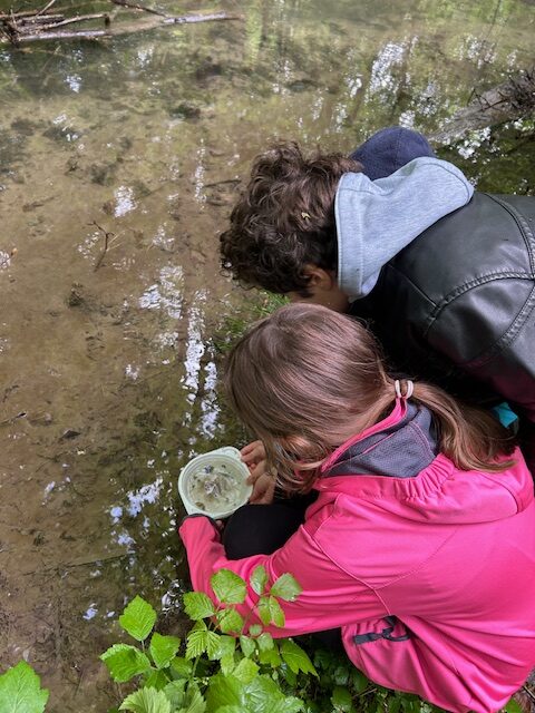 Junge Biotop-Forscher