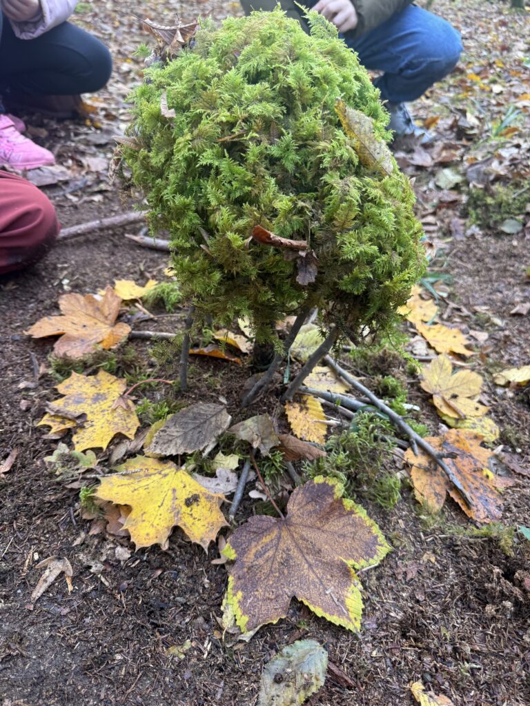 Die dritten Klassen entdecken den Wald